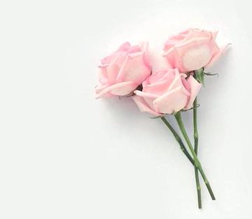 Banner Görseli